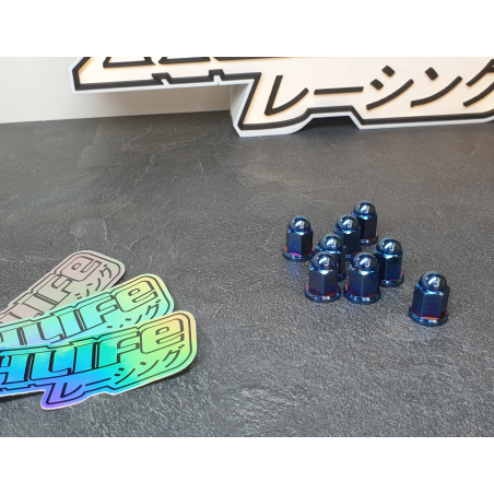 M6 TITANIUM NUTS